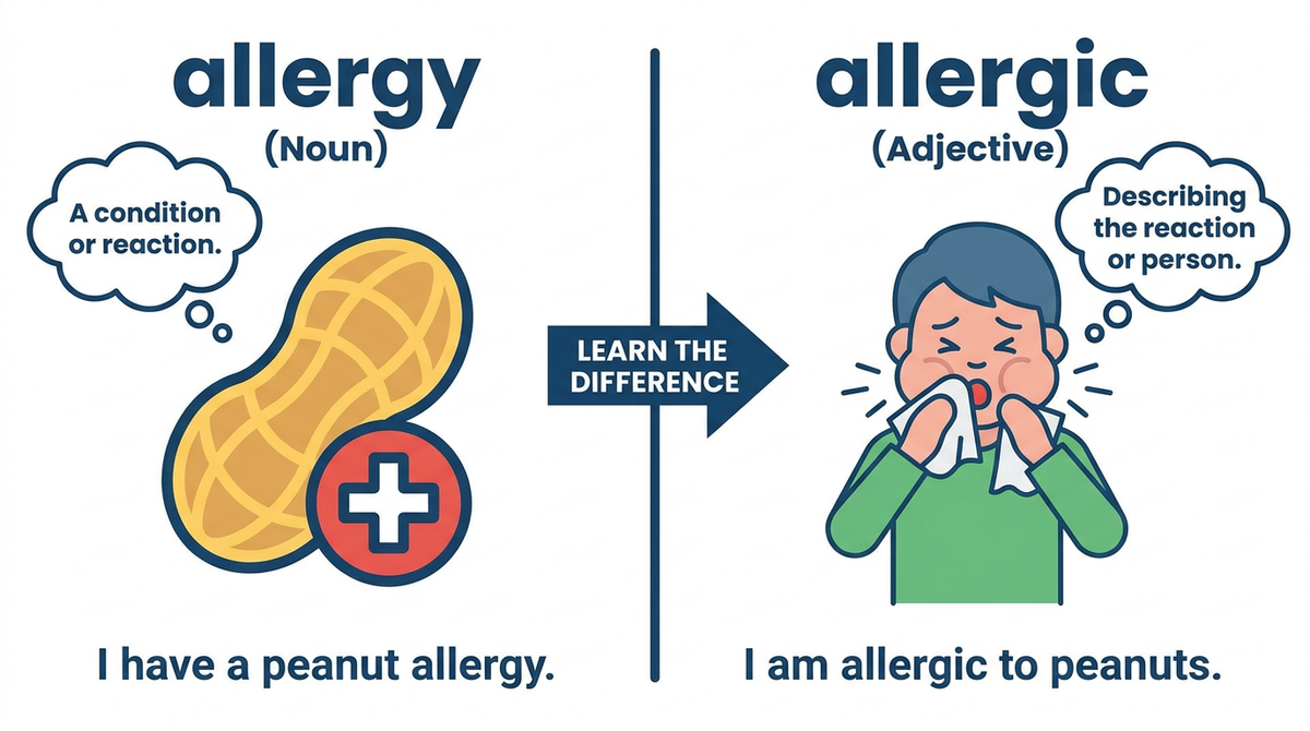 名詞の「allergy」と形容詞の「allergic」の意味や品詞の違いを視覚的に解説するイメージ画像