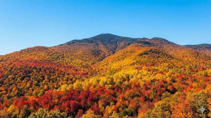 形容詞としての「秋の」はどう表現する？ 代替テキスト: Vibrant autumn mountain colors / 鮮やかな秋の山の色