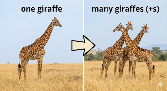 Split image illustrating giraffe plural rule. JP: キリンの複数形ルールを示す分割画像。