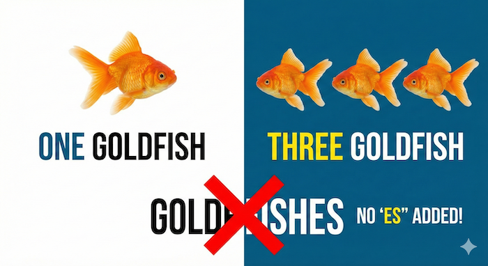 金魚の複数形解説図