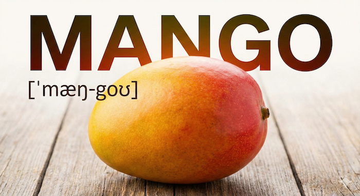 Mango pronunciation guide on wood. (マンゴーの発音ガイドと木)